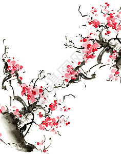 浅草树花樱花草图花园手绘艺术墨水白色黑色花朵插图背景图片