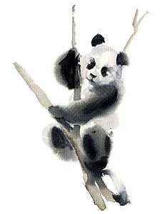手绘熊猫线稿水彩熊熊草图黑色白色艺术刷子动物荒野墨水熊猫文化背景