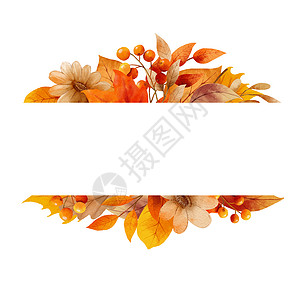 橙子边框素材秋叶水彩画框和边框植物插图季节黄色艺术框架边界棕色季节性植物学背景