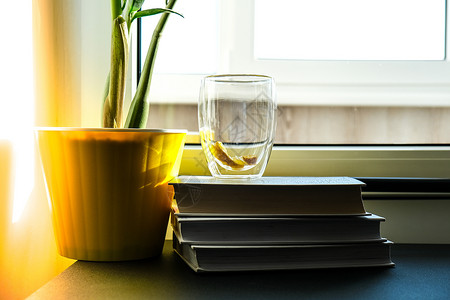 窗台上有一杯加柠檬的热茶 在一堆书上 蒸汽从杯子里涌出来 绿色植物的黄花盆教育阳光湿气植物玻璃季节窗户图书饮料太阳背景图片