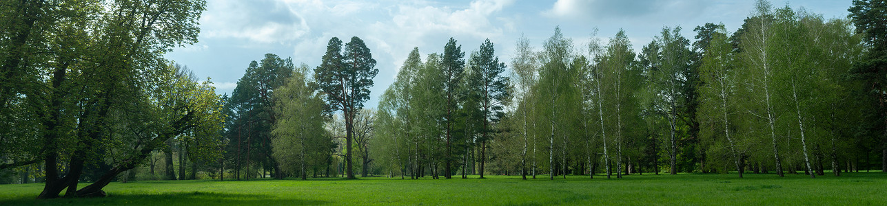 比拉乌克兰地区奥利桑德里亚登地公园全景背景