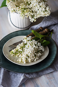 带白银色的春桌设置胃口餐巾桌面丝带植物群盘子绳索咖啡店环境乡村背景图片