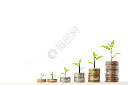 堆放美元图片用一棵小树堆在顶端的硬币堆放在一张图上信用环境现金储蓄薪水投资财富商业叶子经济背景