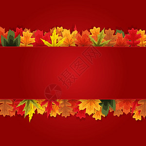 秋天自然叶子背景 它制作图案矢量季节感恩圆圈插图植物亮度金子绘画庆祝框架背景图片