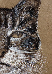 脸上猫猫脸上涂上白墨和黑墨印在克拉夫纸上的油画背景