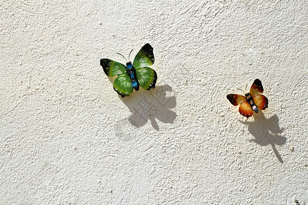 墙与蝴蝶白色墙上的两只五颜六色的装饰蝴蝶背景