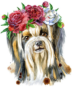 带牡丹花环的约克夏犬水彩肖像高清图片