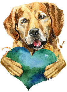 金毛猎犬水彩肖像与绿色听到背景