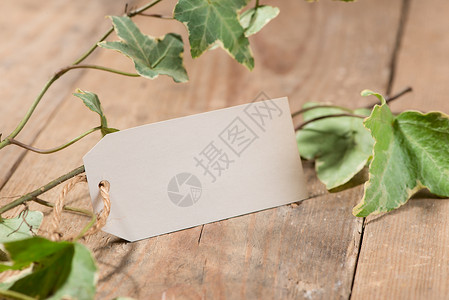 标签植物装饰木制背景带空白标签的绿树叶问候语绳索绿色季节白色植物卡片假期框架桌子背景