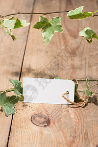 植物标签装饰木制背景带空白标签的绿树叶桌子卡片叶子季节植物框架白色绳索问候语假期背景