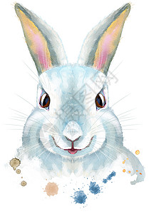 表白兔子图片一位白人拉比的水彩插图草图野兔乐趣婴儿兔子卡片艺术哺乳动物动物荒野背景