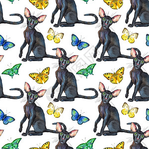 画中猫东方黑猫的无缝模式 绘画动物图案数字猫科墨水刷子短发草图宠物艺术水彩插图背景