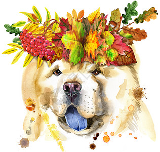 头带花环带假花环的松狮犬水彩肖像背景
