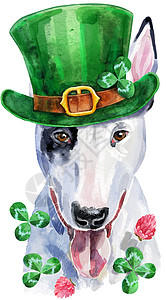 斗牛犬的水彩肖像 圣帕特里克节幸运儿背景
