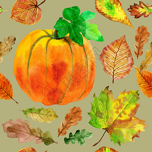 树叶画无缝花纹与秋天的水彩叶子和南瓜打印绘画草药艺术品艺术树叶花园插图热带墙纸背景