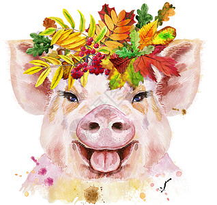 猪颈头带假花环的迷你猪水彩肖像树叶礼物草图农场绘画花朵动物朋友插图橡木背景