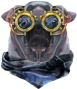 白底黑画素材白底黑墨镜的蒸汽袋眼镜中 Skinny几内亚猪的水彩画肖像背景