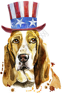 白色背景上戴着山姆大叔帽子的猎犬水彩肖像高清图片