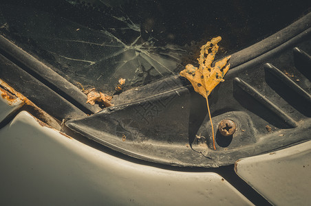 已弃用旧车挡风玻璃破碎时 树上的秋叶干枯 玻璃和机器表面有灰尘背景