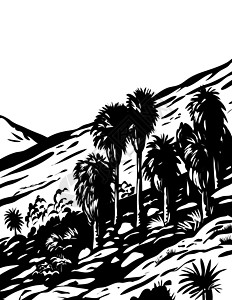 画扇美国加利福尼亚州Joshua树国家公园的499个棕榈绿洲轨迹背景