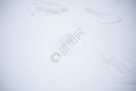 白雪中的人类足迹曲目气候沉淀天气地面美丽日光痕迹小路印象背景图片