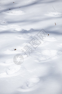 白雪中的人类轨迹烙印冷冻气候日光路线地面印象小路脚印痕迹背景图片
