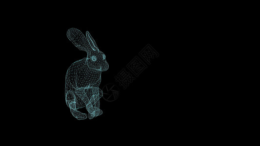 兔子线条兔子在黑色背景上奔跑的线框 3d 插图生物学跑步行动哺乳动物速度白色艺术渲染线条动物背景