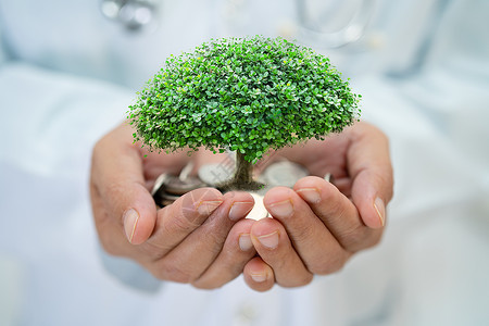 医生工作站节省钱币的树上 在医生手中 商业融资投资概念中背景