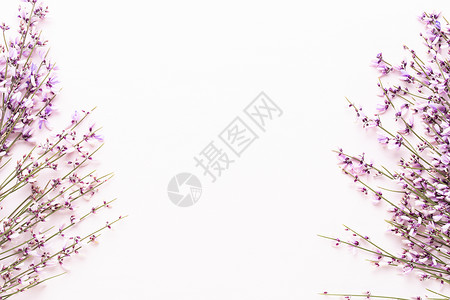 粉红背景的粉红色花朵 复活节 春天的概念 贺卡粉色绿色框架背景图片