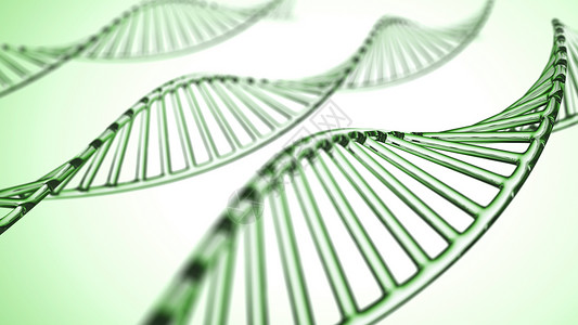DNA元素抽象背景 带 X 染色体的 DNA 分子技术医疗基因细胞白色螺旋绿色生活药品遗传背景