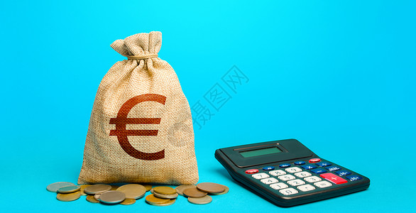 年总总结欧元钱袋子和计算器 会计概念 贷款选择分析 预算 收入和支出 损失和保险金的计算 总结财务结果背景