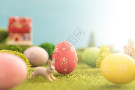 草地上彩蛋概念明亮的高清图片