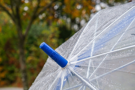 伞透明在模糊的秋天背景上 在雨中用绿色的橙叶树特写带水滴的透明雨伞 秋季雨季天气安全庇护所雨滴叶子气泡森林帮助配饰风暴背景