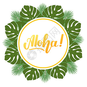 圆形卡片素材带有手写字母 Aloha 的热带树叶圆形框架 在白色背景上隔离的插图背景