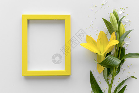 黄色虚线框架带有空白空相框白色表面的高架视图新鲜黄色百合花背景