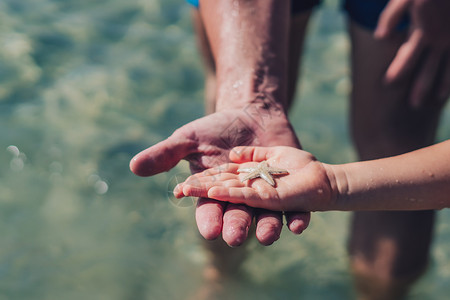 父亲握着儿子的手 儿童节目海星躺在张开的手掌上 特写湿滴皮肤 拇指手指 海上旅游 关心海洋动物自然世界的美丽 男孩的好奇心 一起背景图片