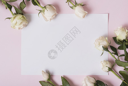 圆形卡片粉红背景的美丽玫瑰花白纸背景