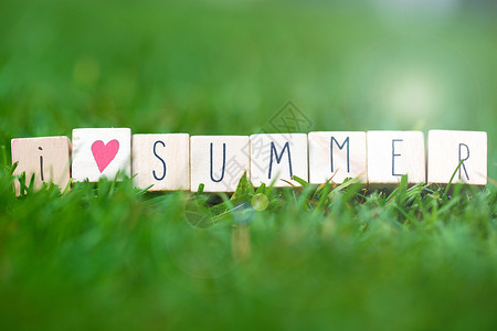 我会爱你好久以我所爱的夏日之词 在明亮的春青绿草丛中 用白色的黛西和阳光 夏天的背景立方体字母横幅乡村乐趣木头艺术季节卡片假期背景
