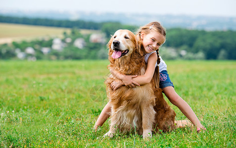 小猎犬带金色寻金器的小女孩场地生活友谊头发宠物娱乐女性欢呼朋友休息背景