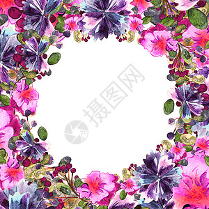水彩夏天花框 五颜六色的花卉集合与叶子和水彩花瓣问候语花园假期收藏花圈植物插图玫瑰创造力背景