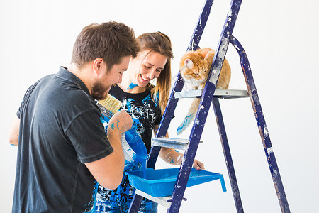 拿着画笔猫修补 彩色 人的概念 一对夫妇和猫去油漆墙壁 他们正在准备颜色宠物女性装修夫妻维修绘画房间装潢手套蓝色背景