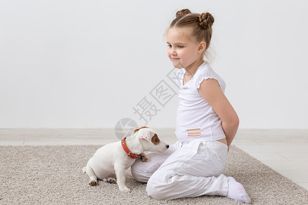 白色睡衣宠物和动物概念     童女玩小狗杰克罗素泰瑞犬类友谊幸福灰色工作室黑发地面白色乐趣微笑背景