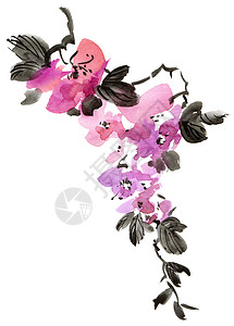 紫色手绘花瓣含花朵的水彩色树枝墨水水彩紫色手绘刷子罪恶花序植物花瓣枝条背景