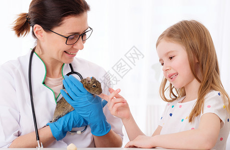 女孩和松鼠向小女孩传授有关宠物的蔬菜教育测试实验室考试科学家专家技术检查鼻子诊所毛皮背景