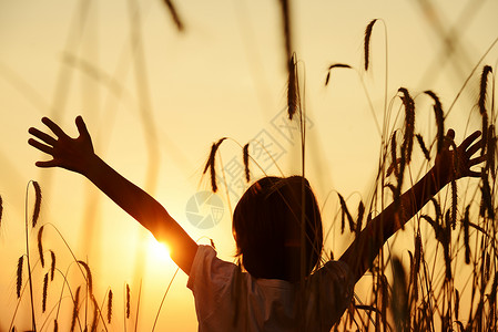 收获地的幸福儿童小麦收成晴天双臂太阳风景墙纸喜悦男生天空图片