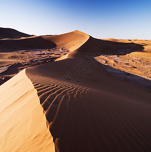 撒哈拉沙漠风景图片旅游生活游记旅人世界假期旅行旅游旅游世界公羊照片图片