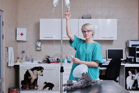 女兽医病人医院帮助卫生保健女性实验室手术女士外科图片
