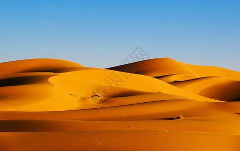 撒哈拉沙漠中风沙沙丘世界旅游图片笔记本旅游迷旅行博主旅行者游记公羊图片