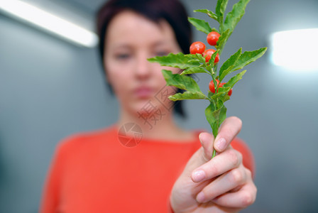 抱着年轻植物的美丽女孩生活冥想温泉生长美丽叶子女孩女士环境图片