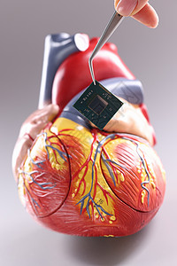 以芯片形式的心脏心脏起搏器模型疾病心脏病脉冲外科医生心电图技术步伐心律失常测量背景图片